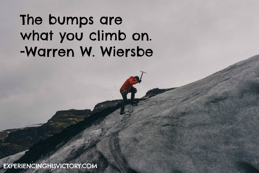 Image: The Bumps Are What We Climb On