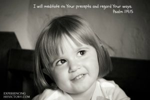 [Image} – Meditate on His Precepts