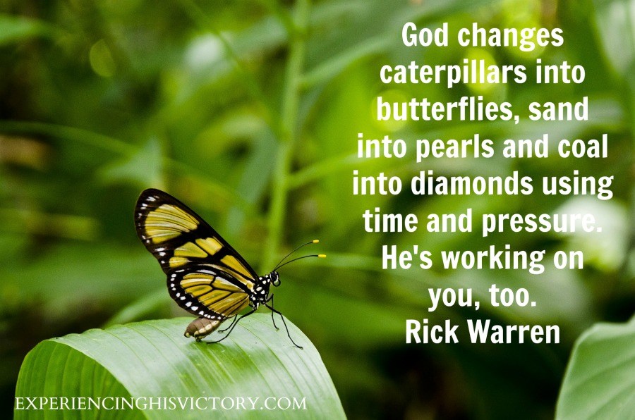 [Image] God’s Working On You