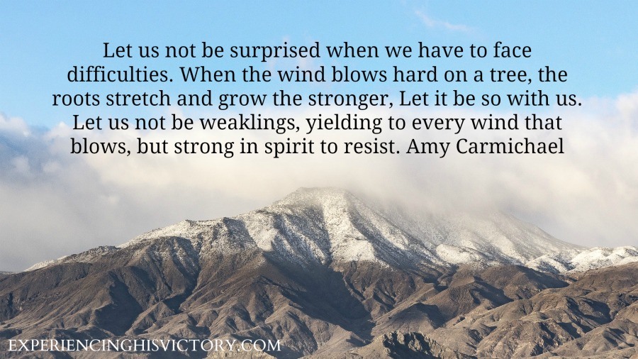 [Image] Difficulties Make Us Stronger
