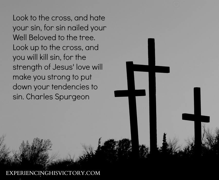 [Image] Look to the Cross