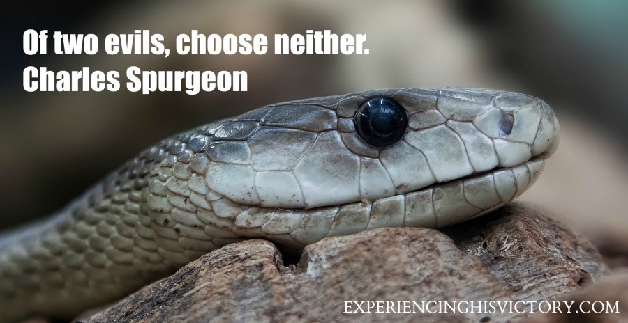 [Image] Of Two Evils, Choose Neither