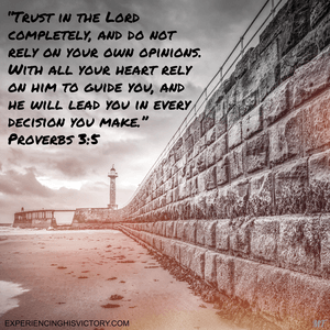 Trust in the Lord [image]
