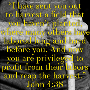 Reap the Harvest [image]