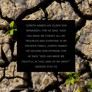Forgotten Troubles and Fruitfulness [Image]