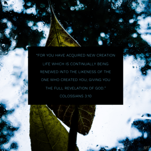 New Creation Life [Image]