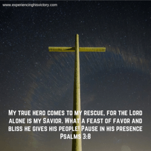 My True Hero Comes [Image]