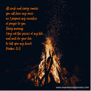 I Wait for You Fire [Image]