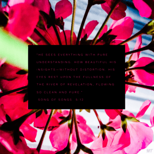How Beautiful His Insights [Image]