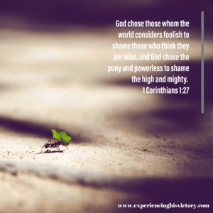 God Chose Foolish Things [Image]