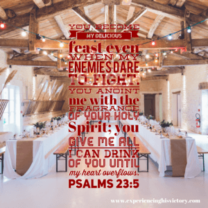 When My Enemies Dare to Fight [Image]