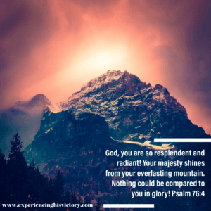 Your Majesty Shines [Image]