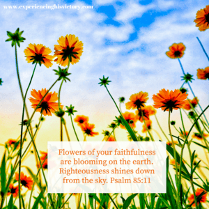 Flowers of Your Faithfulness [Image]