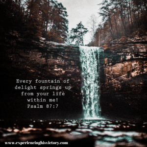 Every Fountain of Delight [Image]