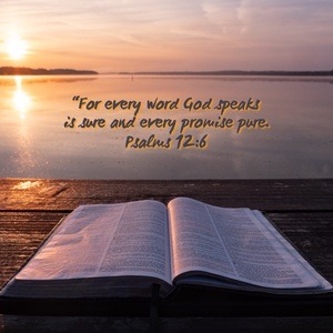 Every Word is Sure [Image]